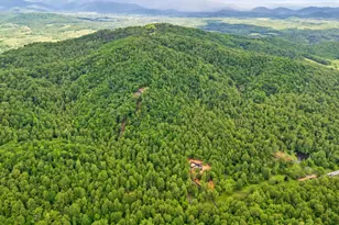 559 Bessie Bell Mountain Rd, Castleton, VA 22716 - Photo 60