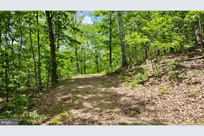 559 Bessie Bell Mountain Road, Castleton, VA 22716 - Photo 74