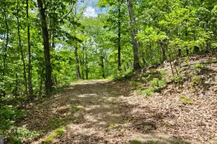 559 Bessie Bell Mountain Rd, Castleton, VA 22716 - Photo 74