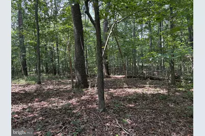 0 Weaver Road, Amissville, VA 20106 - Photo 2