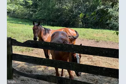 14105 Lee Highway, Amissville, VA 20106 - Photo 26