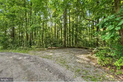 46 Rock Ridge Lane, Chester Gap, VA 22623 - Photo 58