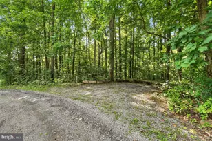 46 Rock Ridge Ln, Chester Gap, VA 22623 - Photo 58