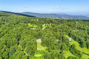 46 Rock Ridge Ln, Chester Gap, VA 22623 - Photo 54