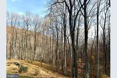 669 Gid Brown Hollow Road, Washington, VA 22747 - Photo 52