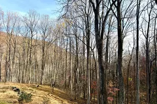 669 Gid Brown Hollow Rd, Washington, VA 22747 - Photo 52