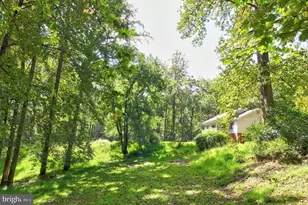 669 Gid Brown Hollow Rd, Washington, VA 22747 - Photo 36