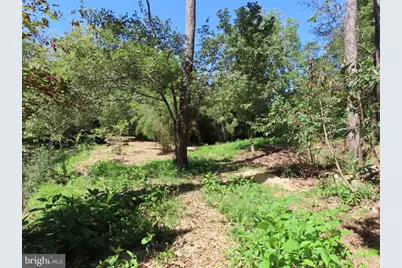 Tiger Valley Road, Washington, VA 22747 - Photo 12