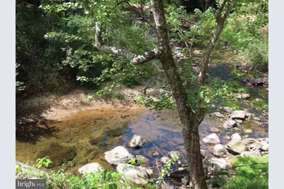 Tiger Valley Road, Washington, VA 22747 - Photo 8