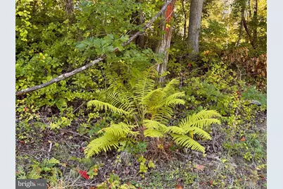 Lee Highway, Amissville, VA 20106 - Photo 18