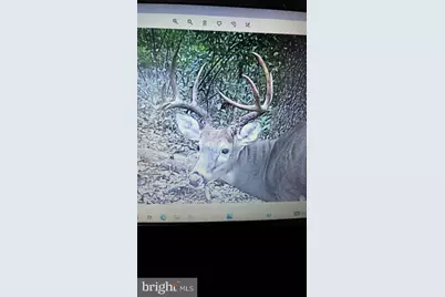 Lee Highway, Amissville, VA 20106 - Photo 22