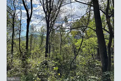 0 Harris Hollow Road, Washington, VA 22747 - Photo 2