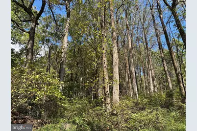 0 Harris Hollow Road, Washington, VA 22747 - Photo 6