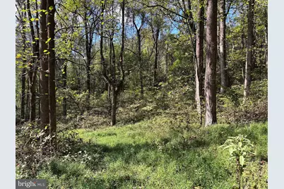 0 Harris Hollow Road, Washington, VA 22747 - Photo 4