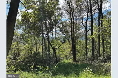 0 Harris Hollow Road, Washington, VA 22747 - Photo 1