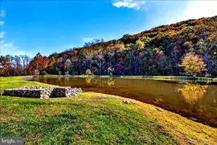 290 Riley Hollow Rd, Huntly, VA 22640 - Photo 4