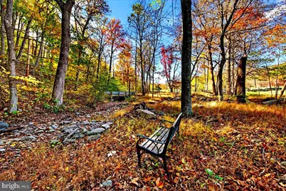 290 Riley Hollow Road, Huntly, VA 22640 - Photo 142