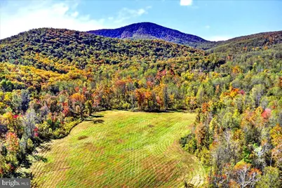 290 Riley Hollow Road, Huntly, VA 22640 - Photo 88