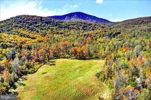 290 Riley Hollow Rd, Huntly, VA 22640 - Photo 88