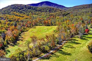 290 Riley Hollow Rd, Huntly, VA 22640 - Photo 86