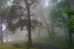 200 Fogg Mountain Ln, Flint Hill, VA 22627 - Photo 42