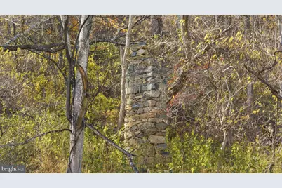 0 Gid Brown Hollow, Washington, VA 22747 - Photo 8