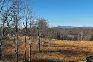 436 Hinsons Ford Rd, Amissville, VA 20106 - Photo 10