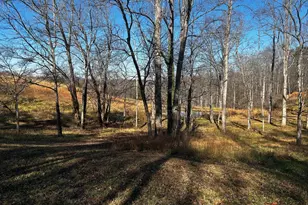 436 Hinsons Ford Rd, Amissville, VA 20106 - Photo 8