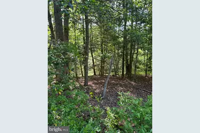 Lot 3 Wallace Street, Warsaw, VA 22572 - Photo 4