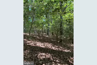 Lot 3 Wallace Street, Warsaw, VA 22572 - Photo 20