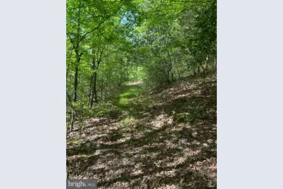 Lot 3 Wallace Street, Warsaw, VA 22572 - Photo 10