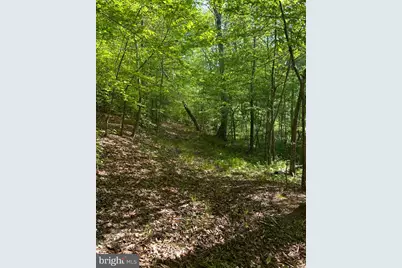 Lot 3 Wallace Street, Warsaw, VA 22572 - Photo 18