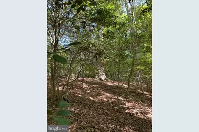 Lot 1 Wallace Street, Warsaw, VA 22572 - Photo 4