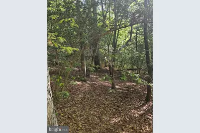 Lot 1 Wallace Street, Warsaw, VA 22572 - Photo 6