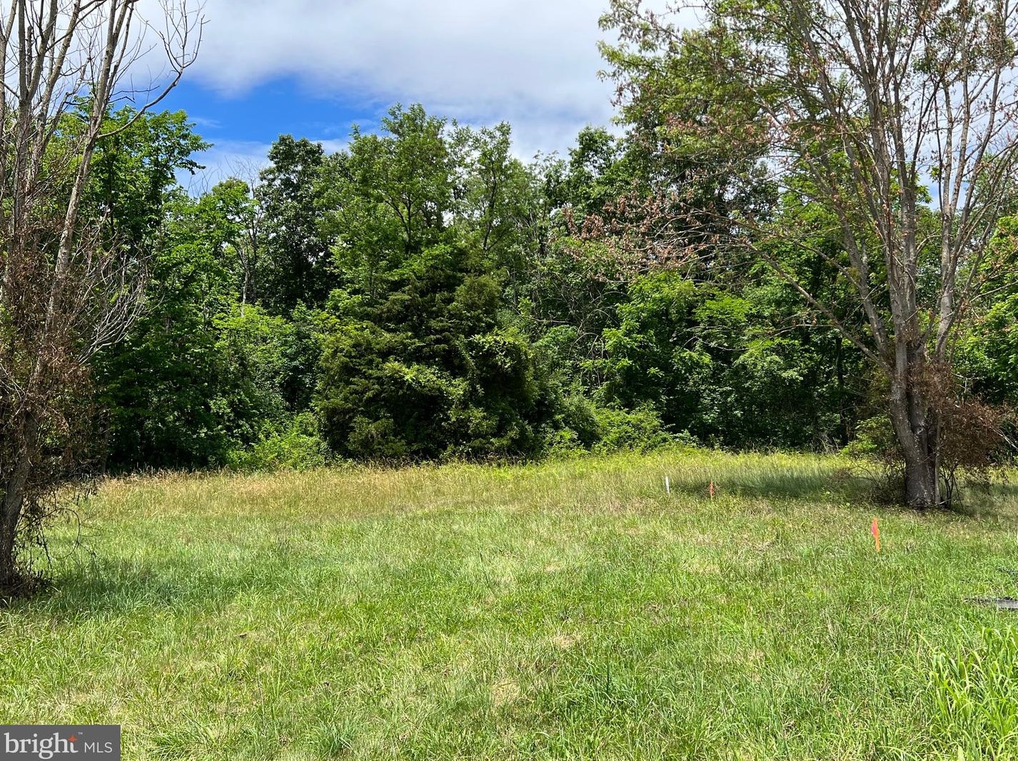 9363 Senedo Rd, Mount Jackson, VA 22842-2219