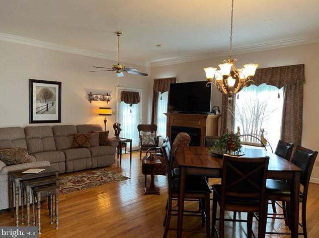 202 Fairground Rd, Woodstock, VA 22664