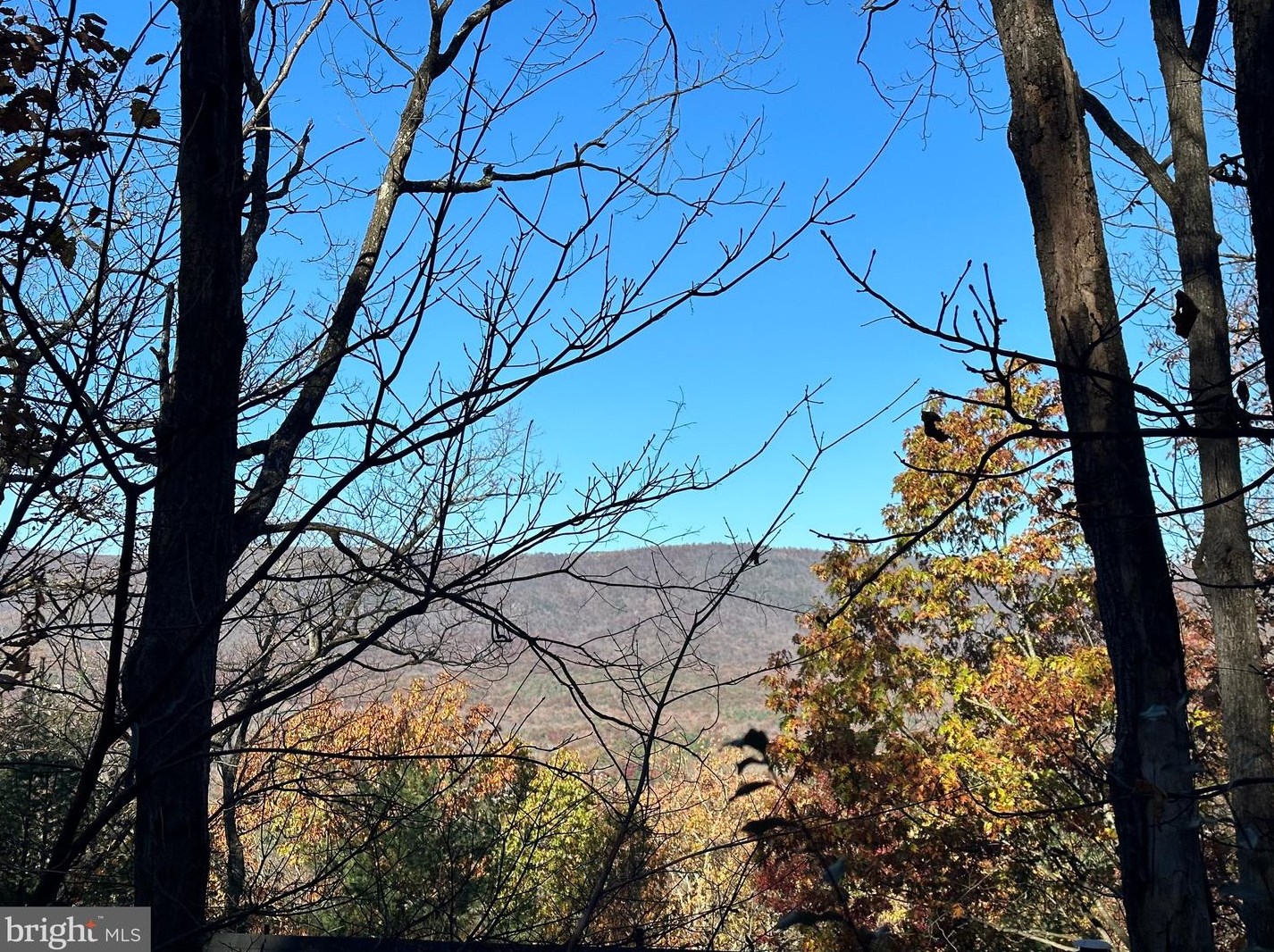 874 Fairway Dr, Basye, VA 22810