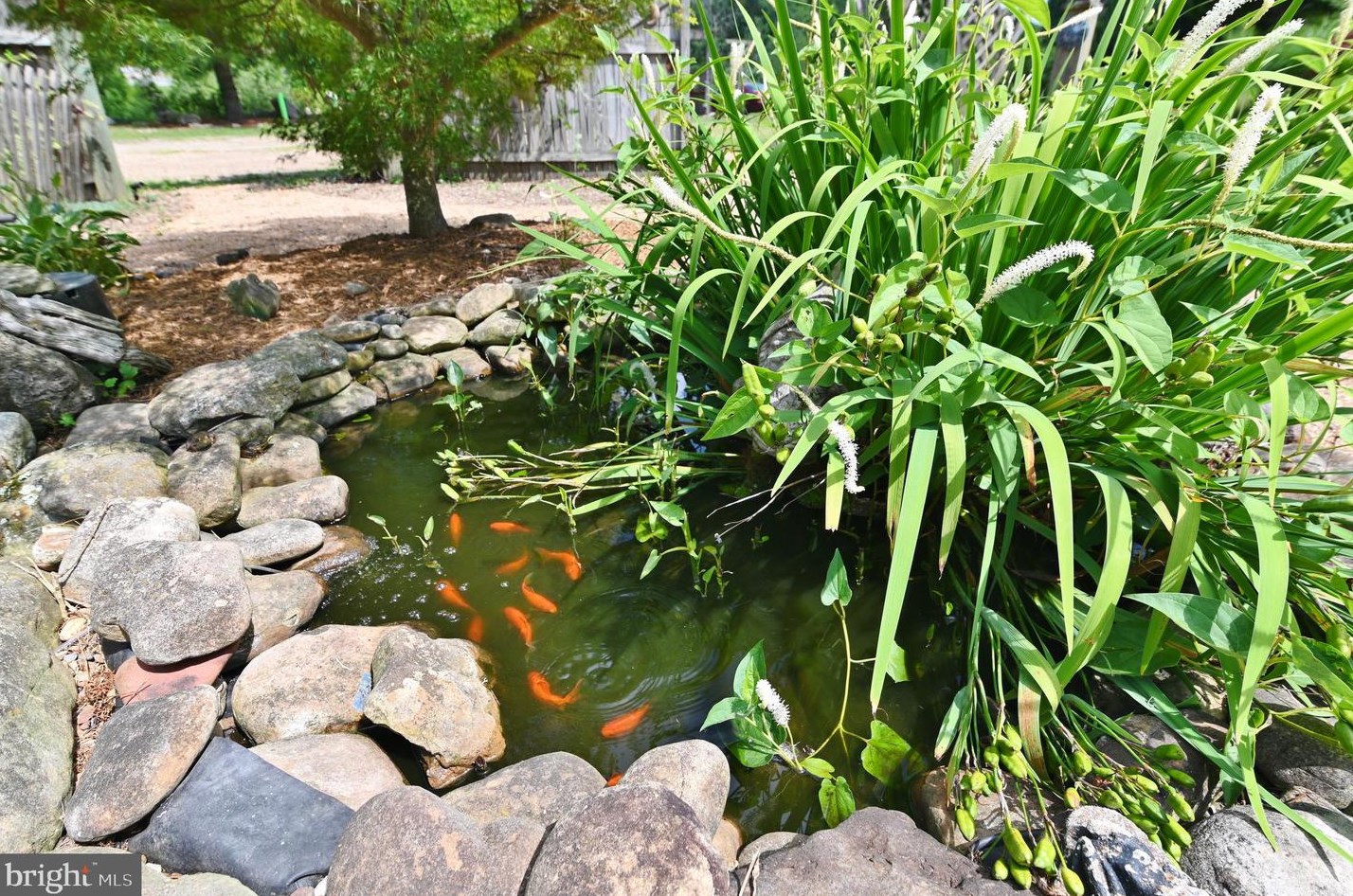 3110 Orkney Grade, Mount Jackson VA  22842-3320 exterior