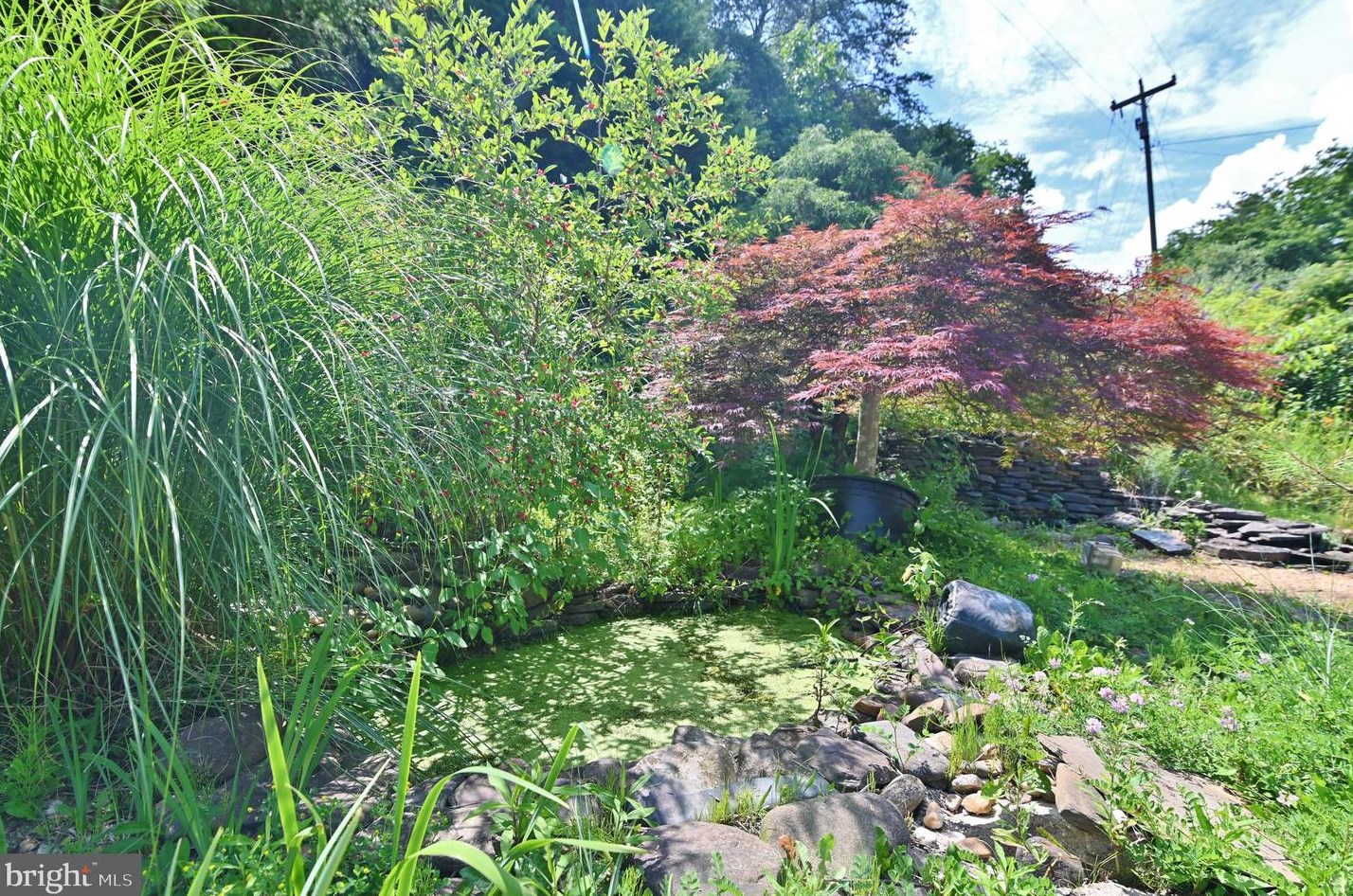 3110 Orkney Grade, Mount Jackson VA  22842-3320 exterior