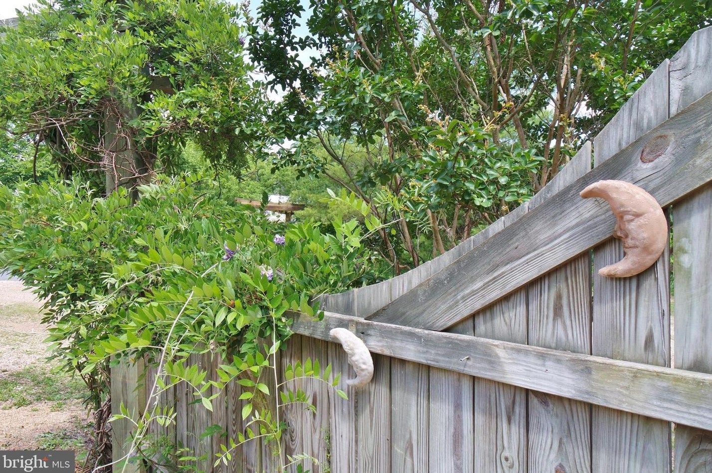 3110 Orkney Grade, Mount Jackson VA  22842-3320 exterior