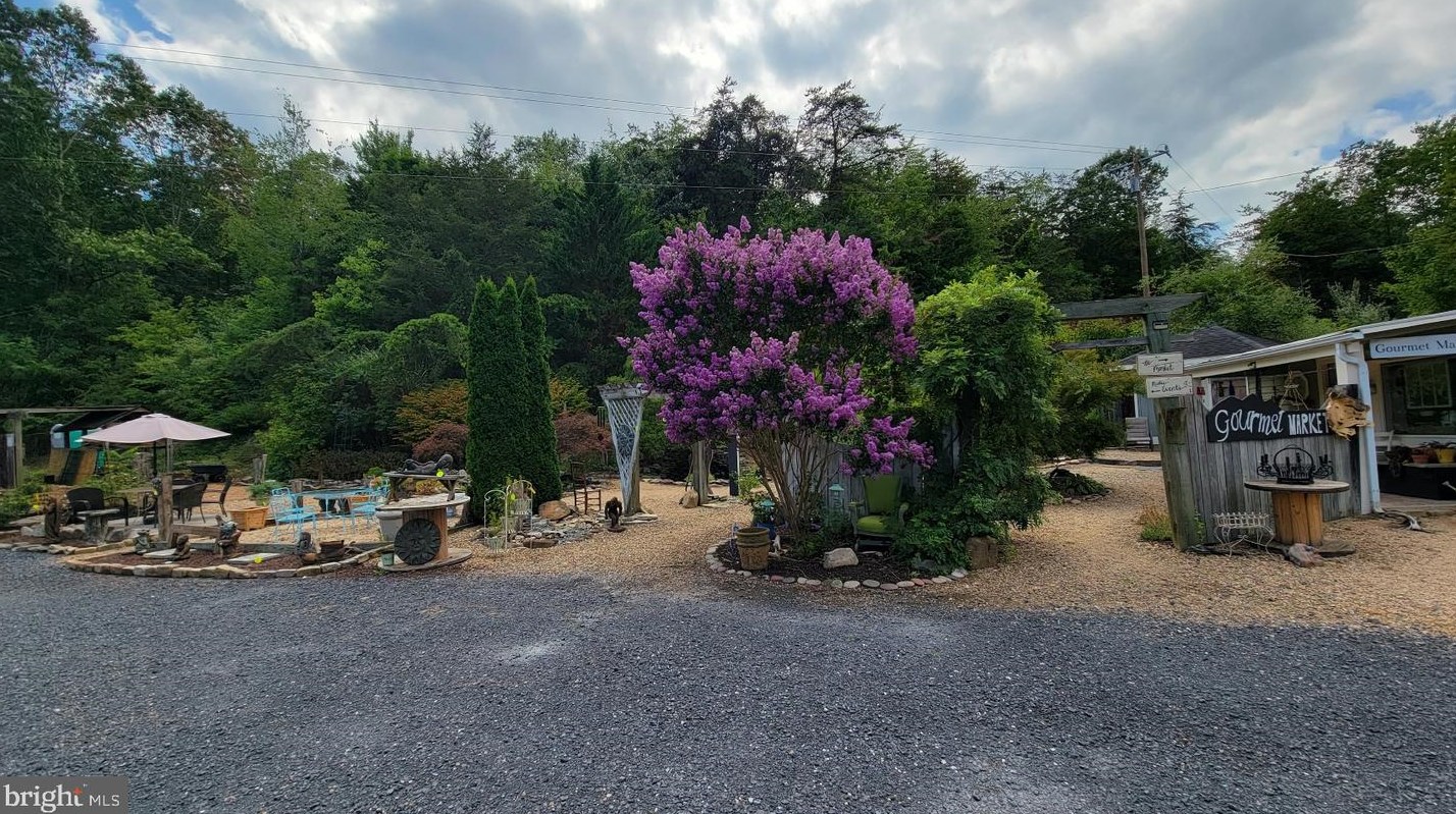 3110 Orkney Grade, Mount Jackson VA  22842-3320 exterior