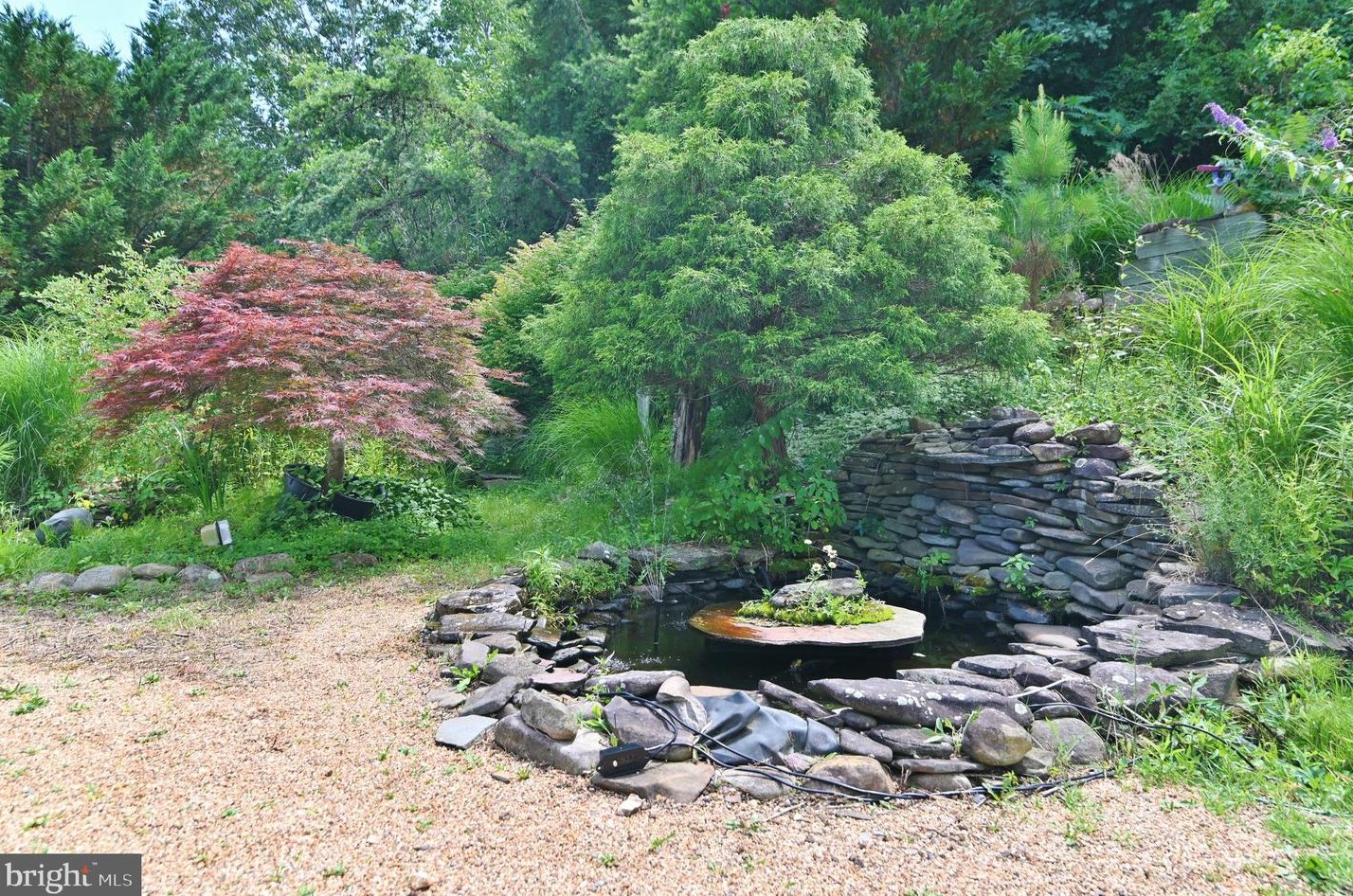 3110 Orkney Grade, Mount Jackson VA  22842-3320 exterior