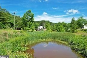 3110 Orkney Grade, Mount Jackson VA  22842-3320 exterior