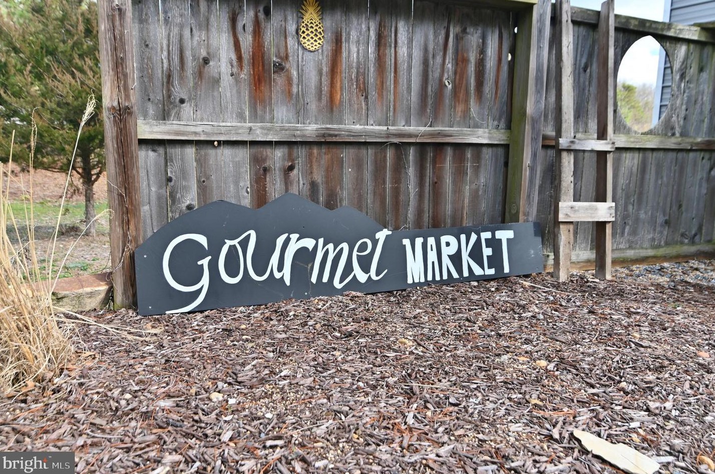 3110 Orkney Grade, Mount Jackson VA  22842-3320 exterior