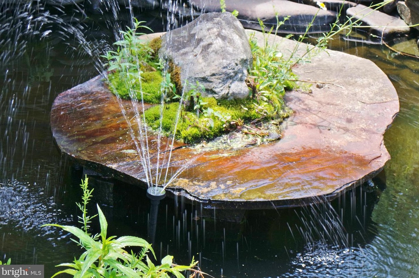 3110 Orkney Grade, Mount Jackson VA  22842-3320 exterior