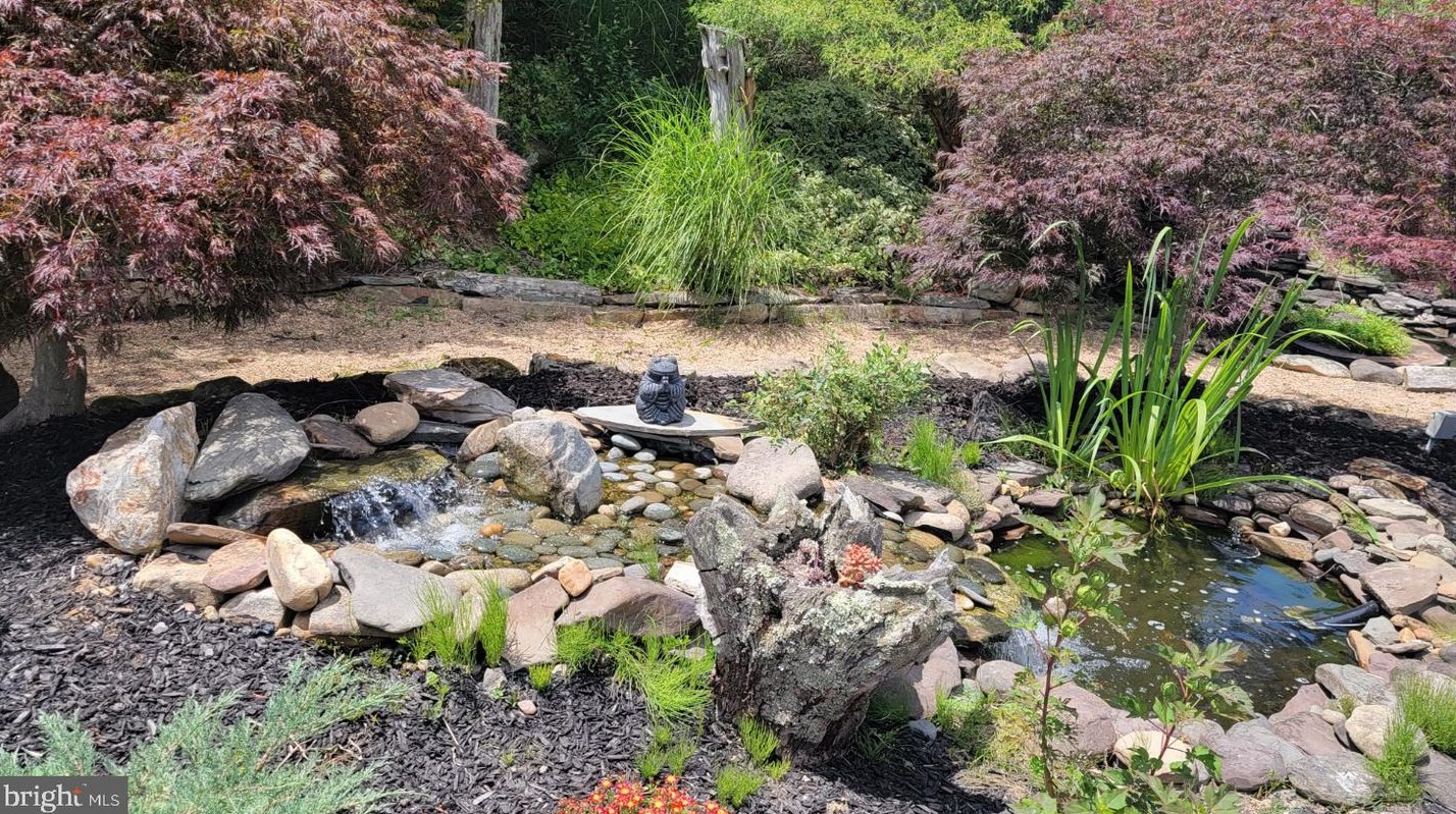 3110 Orkney Grade, Mount Jackson VA  22842-3320 exterior