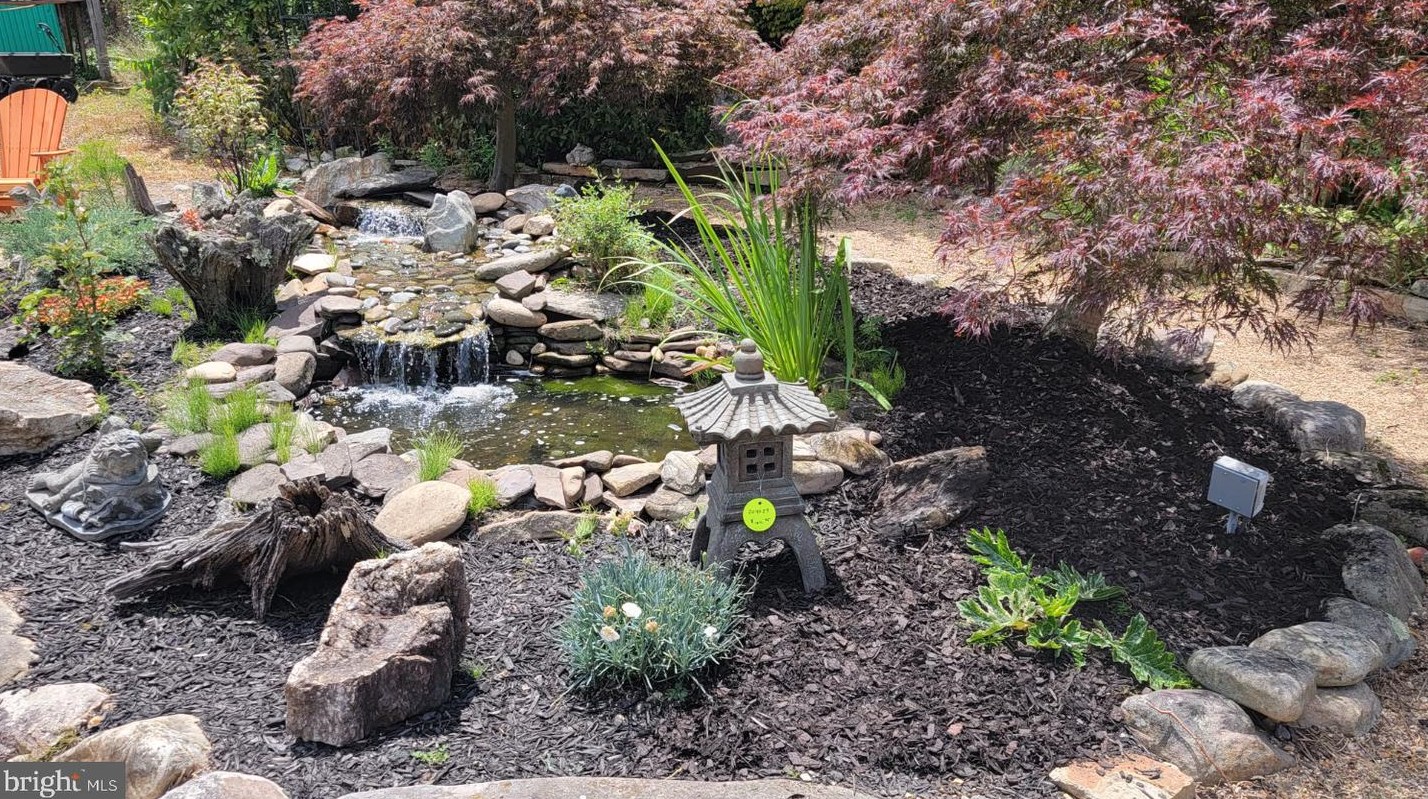 3110 Orkney Grade, Mount Jackson VA  22842-3320 exterior