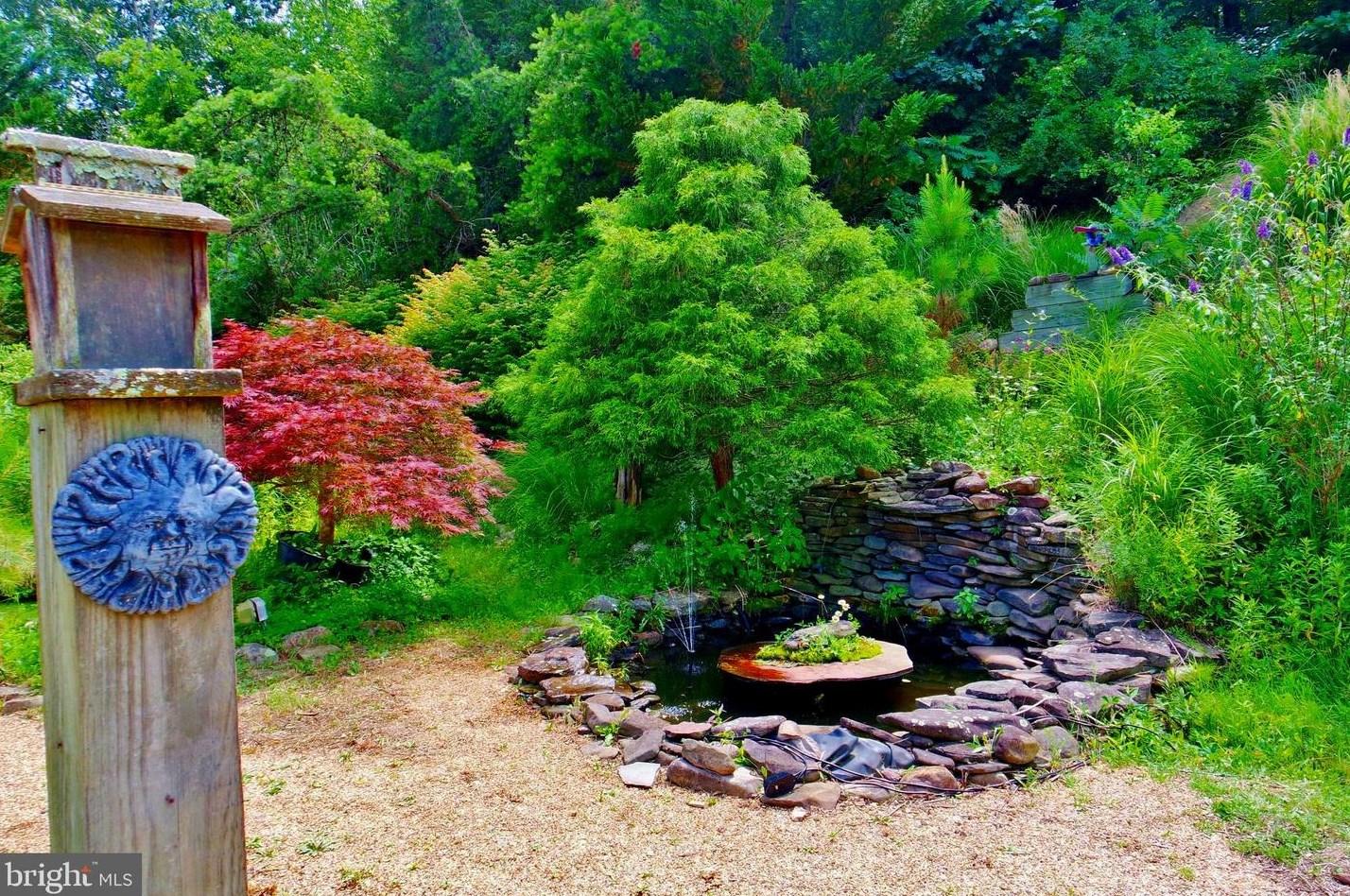 3110 Orkney Grade, Mount Jackson VA  22842-3320 exterior