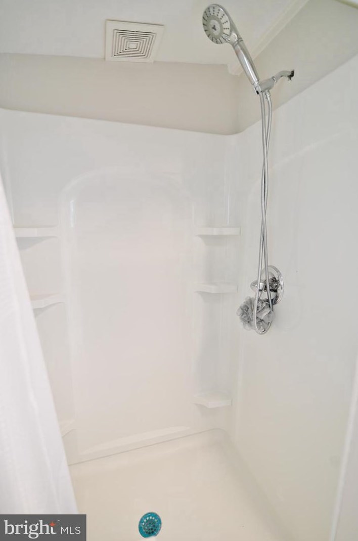 3110 Orkney Grade, Mount Jackson VA  22842-3320 exterior