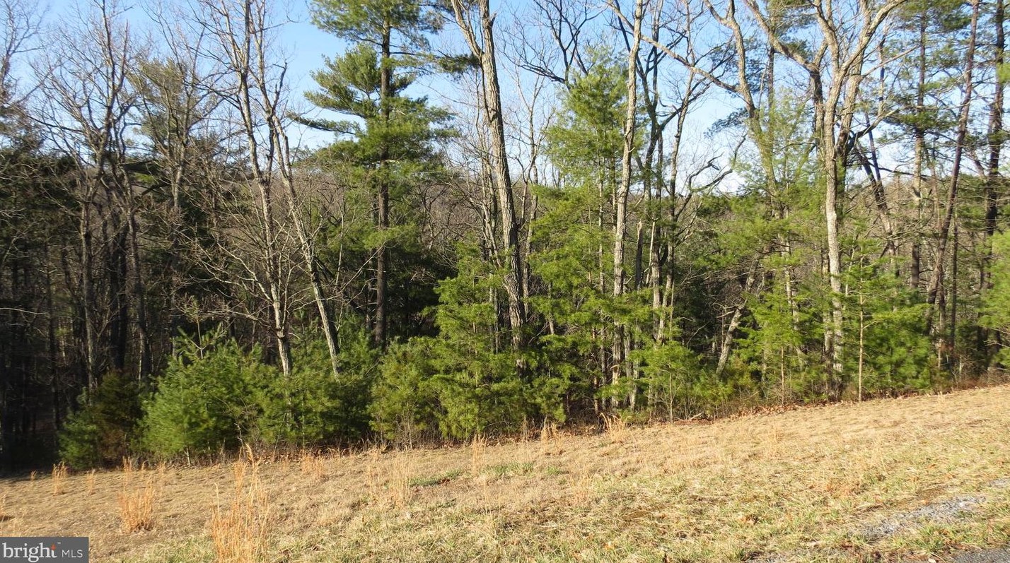 566 Alpine Way, Mount Jackson, VA 22842